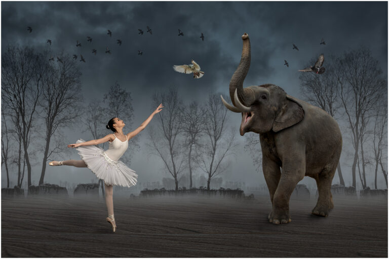 Kim-Pheng Sim - COLETTE-AND-ELEPHANT